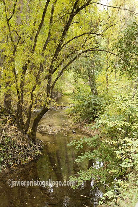 La Senda De Los Pescadores Cuéllar Segovia Siempre De Paso Senda Cosas De La Naturaleza Paisajes