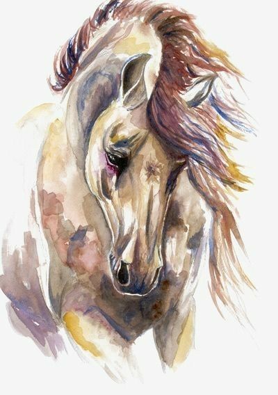 Aquarell Malerei Grau Weiss Schwarz Pferd Mit Blauem Hintergrund