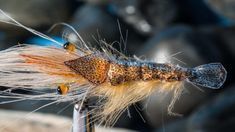fliegenfischen knoten