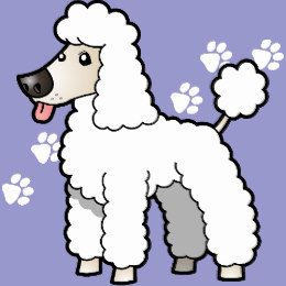 Pin On White Poodle Clipart