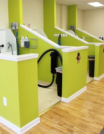 Dog Hotel Ideas