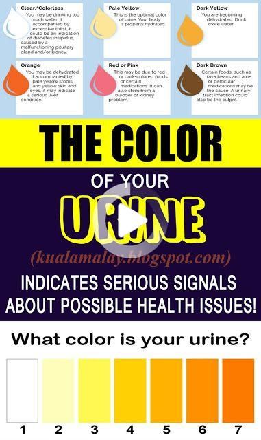What the color of your urine and frequent urination can tell you about your health? | Health and fitness magazine, Health, Daily health tips What the color of your urine and frequent urination can tell you about your health? | Health and fitness magazine, Health, Daily health tips