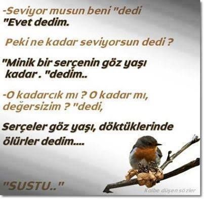Sercenin Goz Yasi Kadar Seviyorummmmm Ozlu Sozler Guzel Soz Instagram Sercenin Goz Yasi Kadar Seviyorummmmm Ozlu Sozler Guzel Soz Instagram