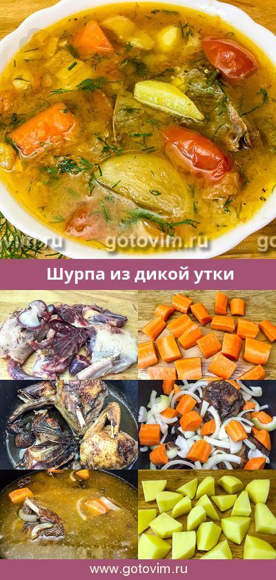 рецепты утка дикая онлайн рецепты утка дикая