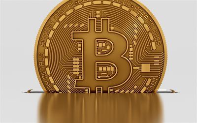 The new digital gold, Bitcoin. Is it really like that?