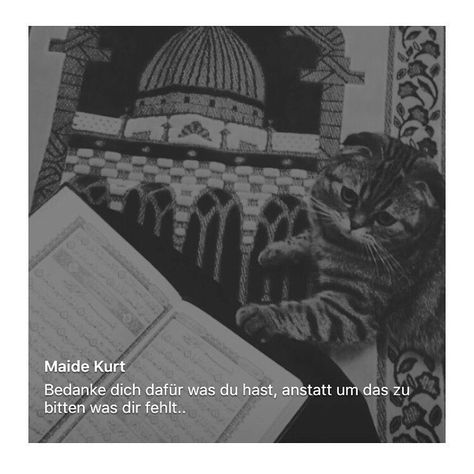 Muslimisches mädchen dating-site