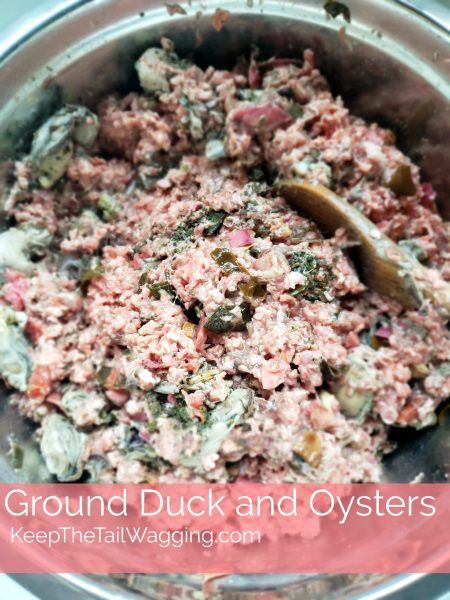 Easy Raw Dog Food Recipe Duck And Oysters Dog Food Recipes Raw