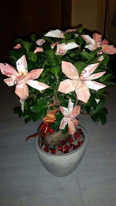 Geldbaum Bonsai Geschenk Geldgeschenke Blumen Blume Aus Geld Geschenke