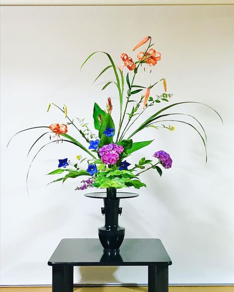大島俊浩 S Instagram Post はい こんばんは 夏花壇の花が盛りとなったので 一草の立花の練習をしました カンナで正真と大葉を賄いました オニユリ ススキ カンナ キキョウ アジサイ ミョウガ ホトトギス ミソハギ クサレダマ 草連玉 ハギ 大島俊浩 S Instagram Post はい こんばんは 夏花壇の花が盛りとなったので 一草の立花の練習をしました カンナで正真と大葉を賄いました オニユリ ススキ カンナ キキョウ アジサイ ミョウガ ホトトギス ミソハギ クサレダマ 草連玉 ハギ