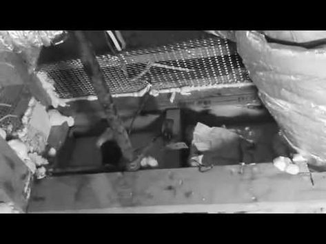 How To Get Rid Of Rats Forever And Protect Your House From Roof How To Get Rid Of Rats Forever And Protect Your House From Roof Coming Back You