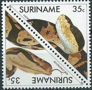 Stamp Konings Snake Bushmaster Suriname Snakes Mi Sr 1381 1382 Stamp Stamp Collecting Snake
