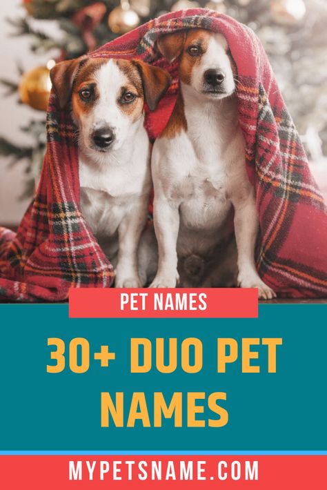 57 Pet Names ideas | pet names, names, pets
