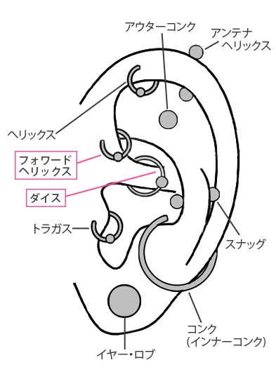 フォワードヘリックス ボディピアスの基礎知識 軟骨ピアスまとめ ボディピアス専門店 凛りん ピアス 位置 耳 描き方 耳イラスト フォワードヘリックス ボディピアスの基礎知識 軟骨ピアスまとめ ボディピアス専門店 凛りん ピアス 位置 耳 描き方 耳イラスト