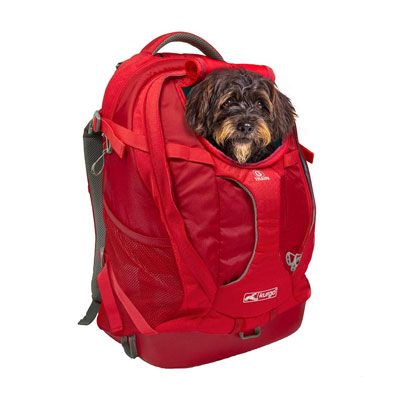 best backpack for dog walking