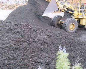 Mulch Delivery Perth Cheap Mulch Soil Texture Firewood