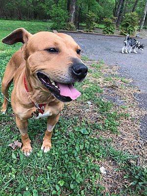 Pin On Need Adopted Love 3