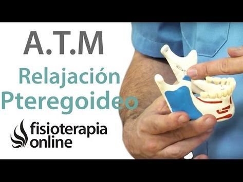 Relajar La Mandíbula Ejercicios Para Los Pterigoideos Youtube Ejercicios Fisioterapia Online Mandibula