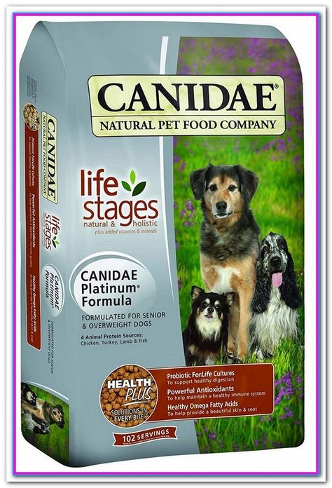 Best Dry Dog Food For Senior Large Breed Top 10 Best Senior Dry