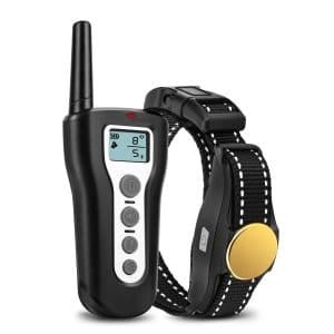 Top 10 Best Dog Training Collars In 2020 Training Collar Best