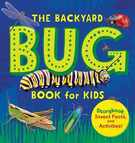 How To Get Rid Of Bed Bug Bites Quick And Easy Solutions Bed Bug Bites Bed Bugs Rid Of Bed Bugs