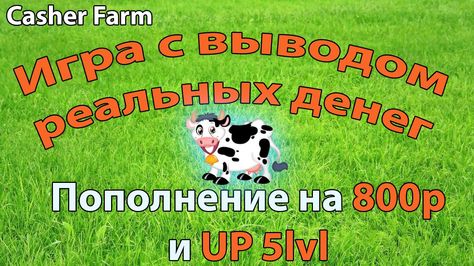мани бердс игра с выводом реальных денег мани бердс игра с выводом реальных денег