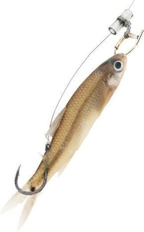 2-Sided Fishing Master Baiter with Lure Royal Lion Beach Tote
