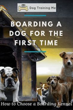 Pin By Anne Fahnestock On Dogs Dog Boarding Facility Dog