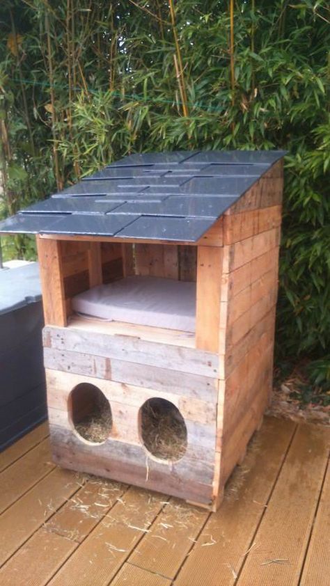 400 Idees De Abris Pour Chats E En 21 Abri Pour Chat Maison Chat Maison De Chat 400 Idees De Abris Pour Chats E En 21 Abri Pour Chat Maison Chat Maison De Chat