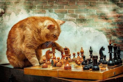 Chess のアイデア 110 件 21 チェス 象棋 チェスセット Chess のアイデア 110 件 21 チェス 象棋 チェスセット