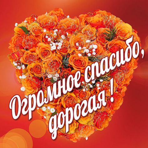 Картинки Спасибо Дорогая - красивые открытки бесплатно