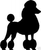Download 18 Animal Vectors Ideas Silhouette Poodle Drawing Silhouette Stencil