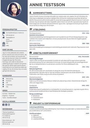 Cv Mall Saljare Cv Exempel Saljare Personligt Brev Saljare Cv Mall Personligt Brev Mall