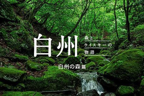 白州 森香るハイボール で ミニマル リッチ なキャンプが完成する シングルモルトウイスキー白州 サントリー シングルモルトウイスキー 森 キャンプ 白州 森香るハイボール で ミニマル リッチ なキャンプが完成する シングルモルトウイスキー白州 サントリー シングルモルトウイスキー 森 キャンプ