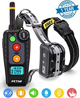 Shock Collar For Dogs 2019 Newest Dog Shock Collar With Remote Dog