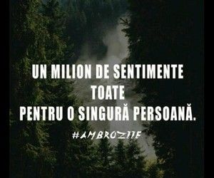 dating și sentimente tumblr