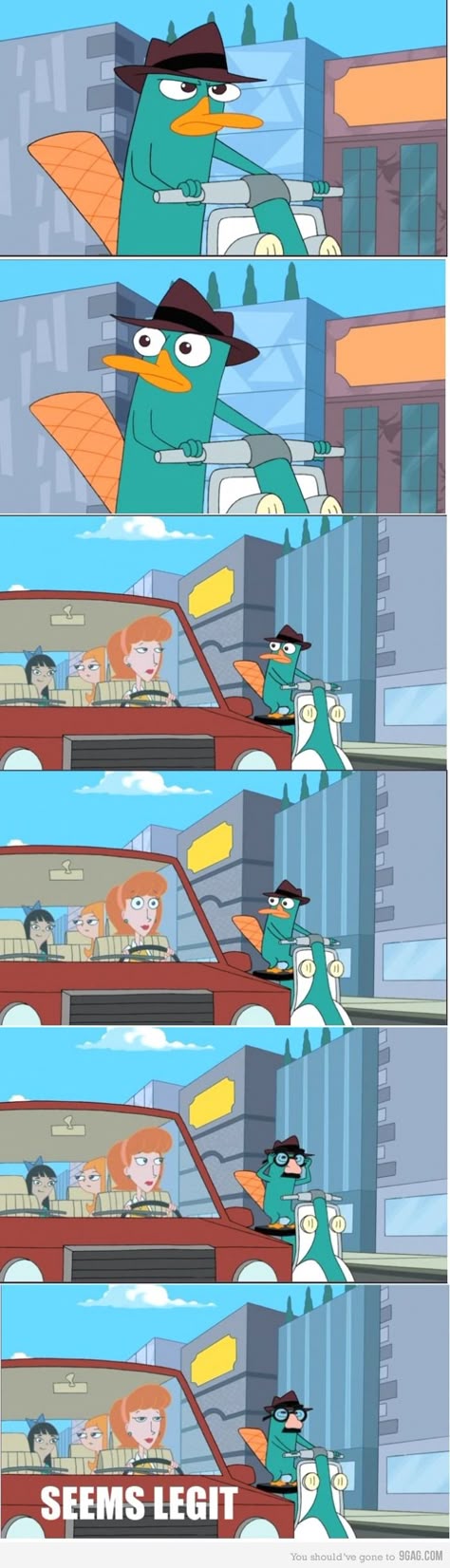 64 Some Phineas And Ferb Ig Ideas Phineas And Ferb Phineas And Ferb Memes Disney Funny