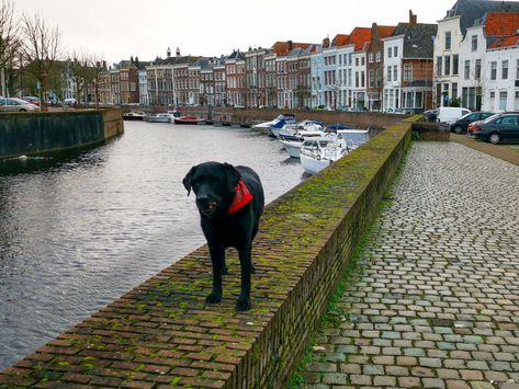 Niederlande kennenlernen
