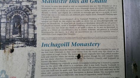 Dejta i Mayo Ireland