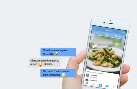 Dieta de los puntos online