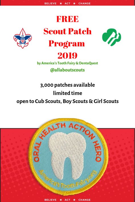Girl Scouts Cadette Badge Trees New Pkging Thinner Patch