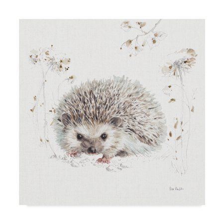 Animal Deco Prints on Canvas Hedgehog Illustration Splash Watercolor Art Framed