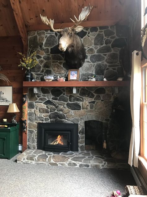 Wood Stove Insert Fireplace Putnam Ct Mainline Hearthstone - Hearthstone Fireplace Inserts Clydesdale Wood Stove Insert Fireplace Putnam Ct Mainline Hearthstone - Hearthstone Fireplace Inserts Clydesdale