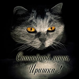 Ирина Фото Прикольные Ирина Фото Прикольные