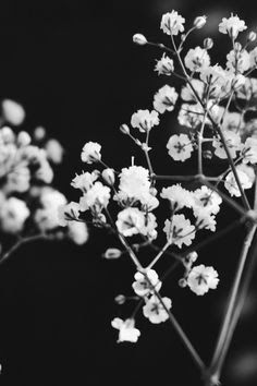 Image result for black and white aesthetic | summer painting Image result for black and white aesthetic | summer painting
