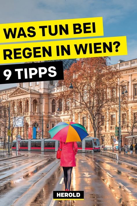 Studenten kennenlernen wien
