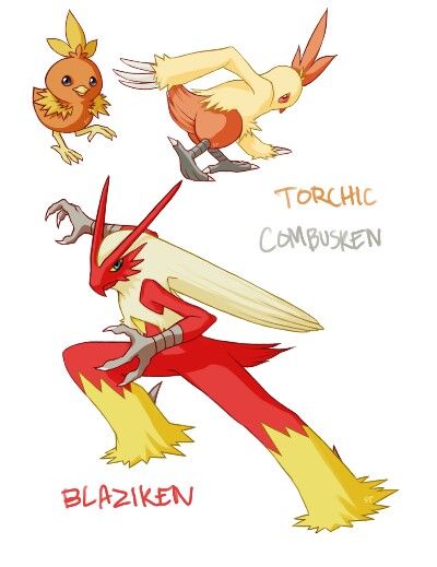 Curiosidades Pokémon: Torchic, Combusken e Blaziken - Pokémothim