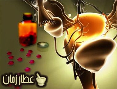 خلطة سحرية لعلاج سرطان عنق الرحم والتخلص منه نهائيا Novelty Lamp Lamp Table Lamp