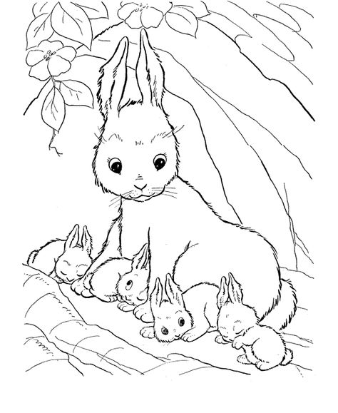 Images Of Easter Bunnies Bunny Coloring Pages Easter Coloring Pages Easter Bunny Colouring