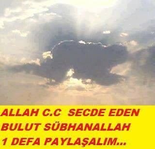 Seherde Uyanirlar Cumle Kuslar Dill U Dillerince Tesbihe Baslar Tevhid Eyler Daglar Taslar Agaclar Uyan Ey Gozlerim Gafletten Uyan Uyan Uykusu Gozler Kus Seherde Uyanirlar Cumle Kuslar Dill U Dillerince Tesbihe Baslar Tevhid Eyler Daglar Taslar Agaclar Uyan Ey Gozlerim Gafletten Uyan Uyan Uykusu Gozler Kus