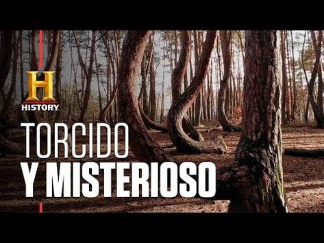 75 Ideas De Naturaleza Asombrosa Naturaleza Fenomenos Naturales Paisajes